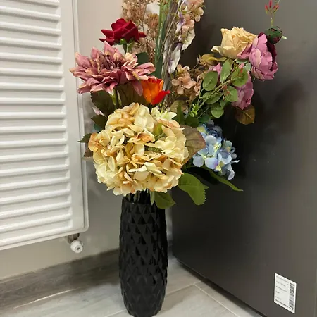 Liberty 3* Năvodari